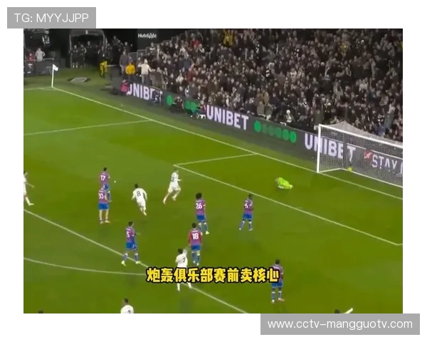 水晶宫主帅格拉斯纳炮轰俱乐部，被质疑故意求解雇