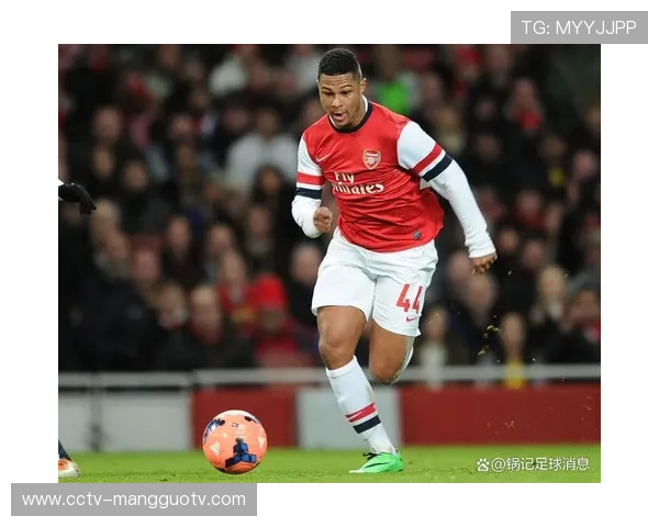 德甲评论员团队新增前国脚，带来专业赛事分析